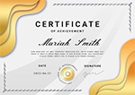 Best Visa Consultant of  Year